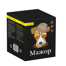 Мажор