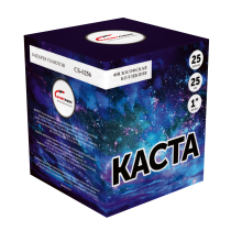 КАСТА