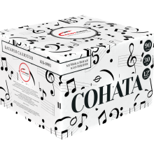 СОНАТА